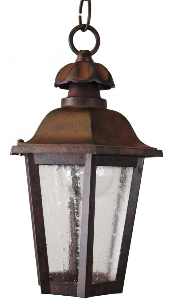 Avanti 1200 Series Hanging Model 1231 Small Outdoor Wall Lantern