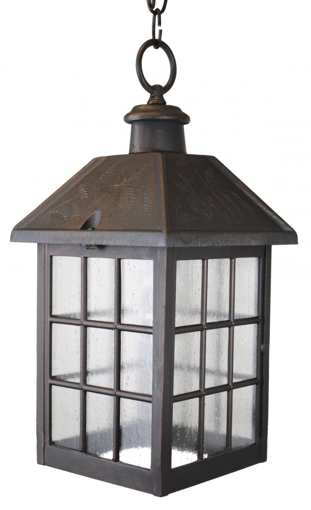 Avanti 2000 Series Hanging Model 2051 Medium Outdoor Wall Lantern