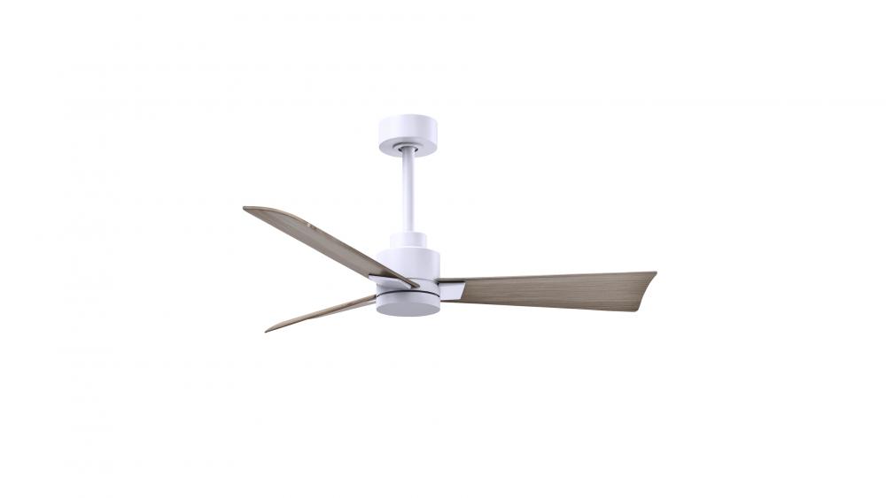 Alessandra 3-blade transitional ceiling fan in matte white finish with gray ash blades. Optimized