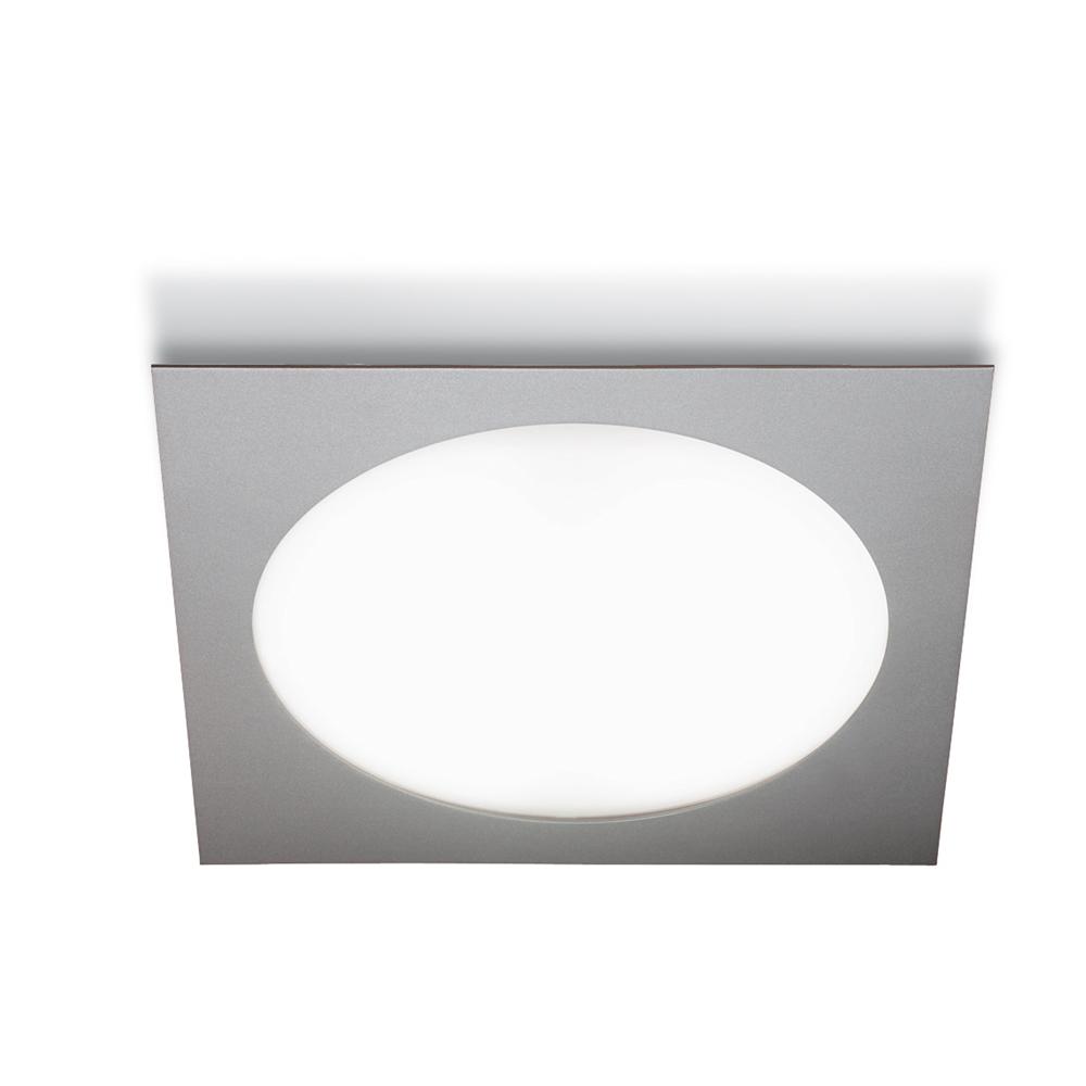 Single-Light Ceiling /Wall Mount