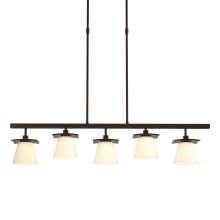 Hubbardton Forge 136605-SKT-SHRT-14-GG0242 - Wren 5 Light Pendant