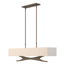 Hubbardton Forge 137655-SKT-STND-05-SE4298 - Moreau Pendant