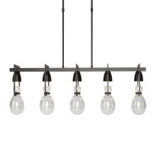 Hubbardton Forge 137810-SKT-LONG-14-ZM0572 - Apothecary Pendant