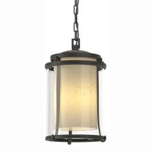 Hubbardton Forge 365615-SKT-20-ZS0283 - Meridian Large Outdoor Ceiling Fixture