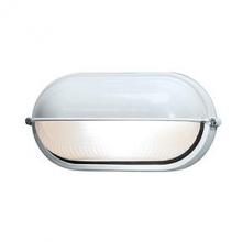 Access 20291LEDDLP-WH/FST - 1 Light Outdoor LED Bulkhead